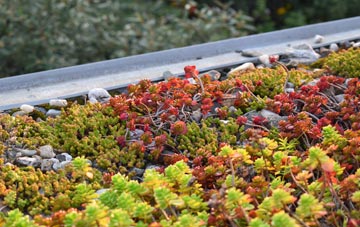 the cost of Kilskeery green roof installation