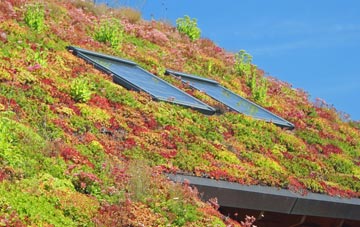 Kilskeery living roof systems